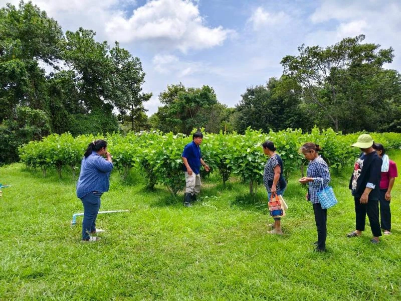 catalogs_file_9_12_0_908423.webp