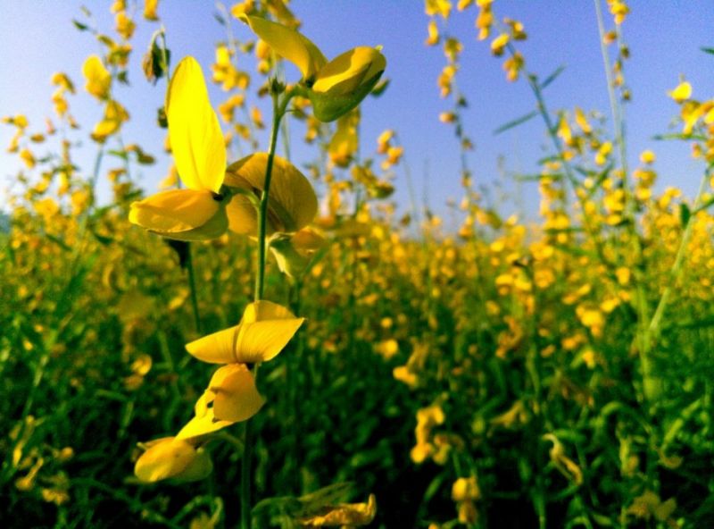 307324-587750e92ff1f