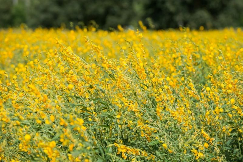 ATR2757-1170x781-qa-94