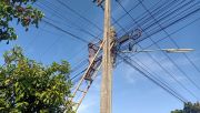 LINEALBUM-6470