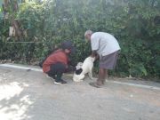 29195019951456775888208104101770396694797798n