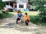 29207841051456772354875125634677205818703947n