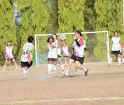 messageImage17772725133850