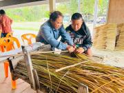 LINEALBUM20263262603313