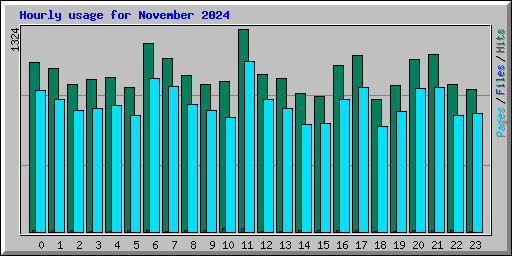 Hourly usage for November 2024
