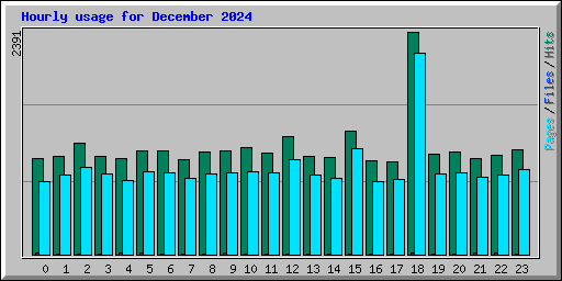 Hourly usage for December 2024