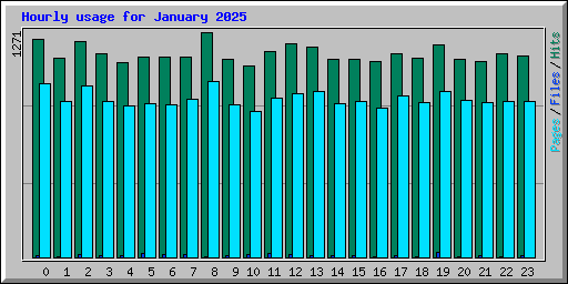 Hourly usage for January 2025