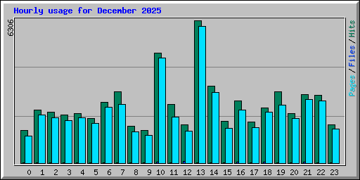 Hourly usage for December 2025