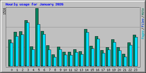 Hourly usage for January 2026