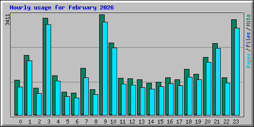 Hourly usage for February 2026