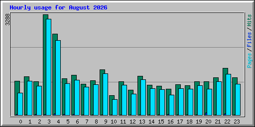 Hourly usage for August 2026